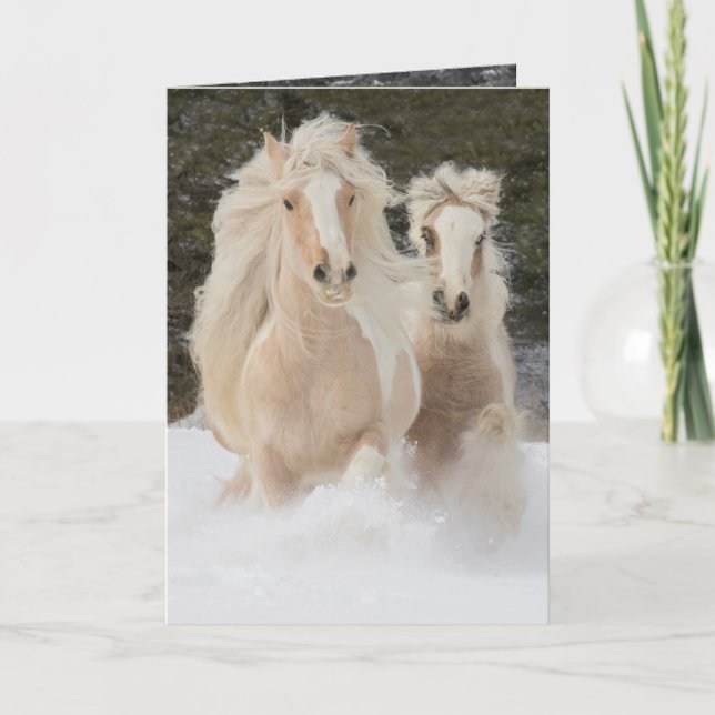 Gypsy Mare and Foal Run Horse Greeting Card (Front)