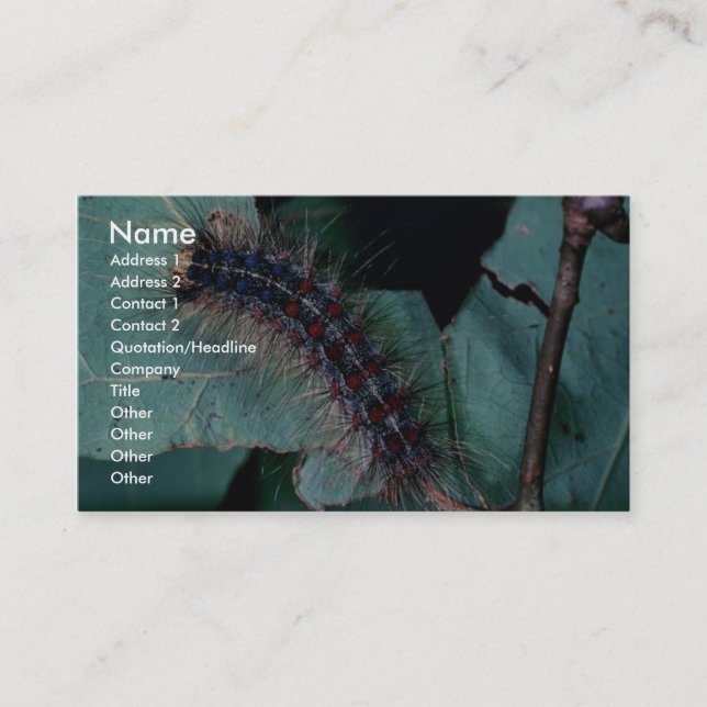 Gypsy moth business card (Front)