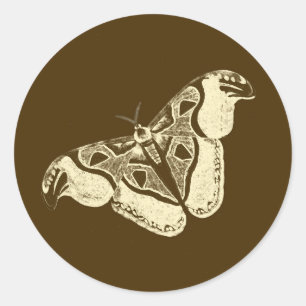 Gypsy moth, chocolate brown and beige classic round sticker