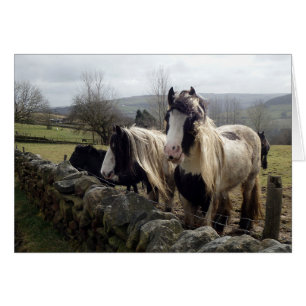 Gypsy ponies card
