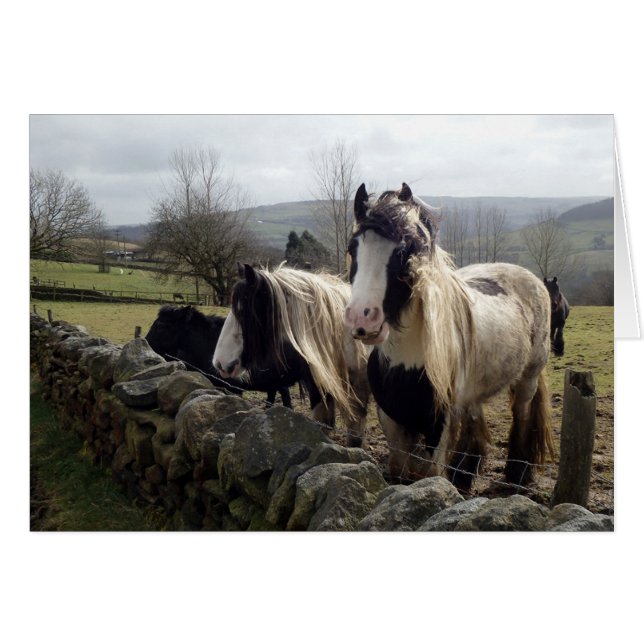 Gypsy ponies card (Front Horizontal)