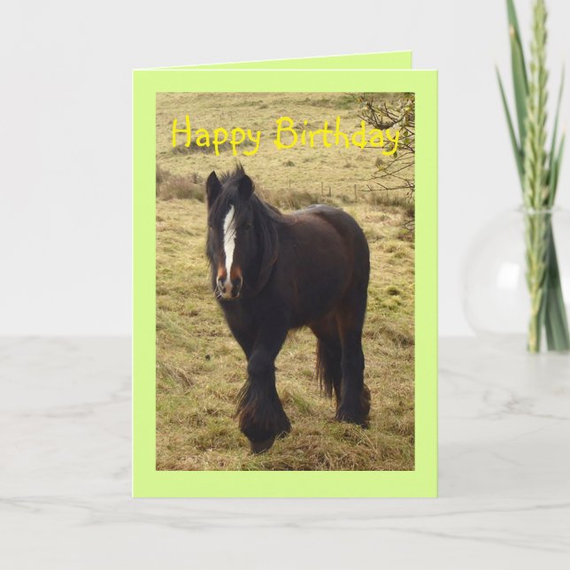 Gypsy pony Birthday card (Front)