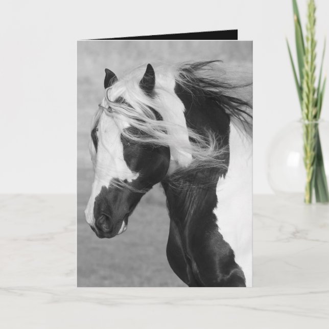 Gypsy Runs Horse Greeting Card (Front)