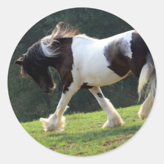 Gypsy Vanner Classic Round Sticker