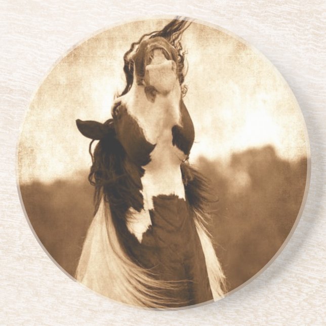 Gypsy Vanner Coaster (Front)