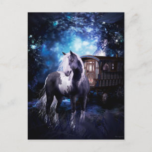 Gypsy Vanner Dreams Postcard