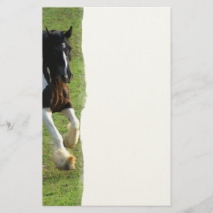 Gypsy Vanner Horse Stationery