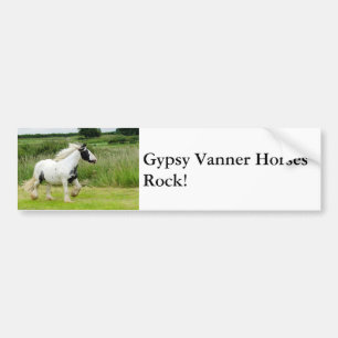 Gypsy Vanner horses Bumper Sticker