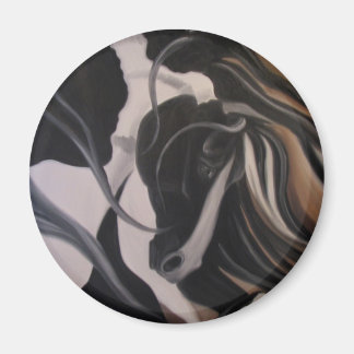 Gypsy Vanner I Magnet