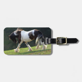 Gypsy Vanner Luggage Tag