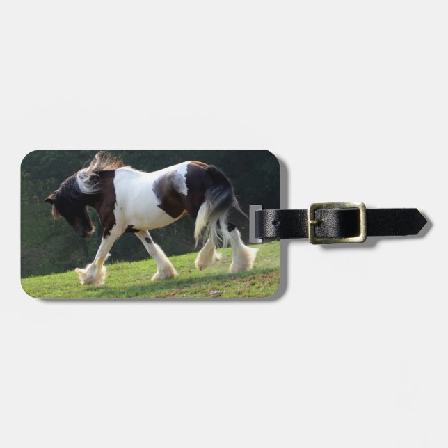 Gypsy Vanner Luggage Tag (Front Horizontal)