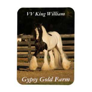 Gypsy Vanner Magnet