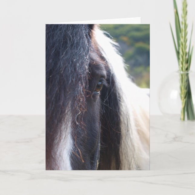 Gypsy Vanner Notecard (Front)