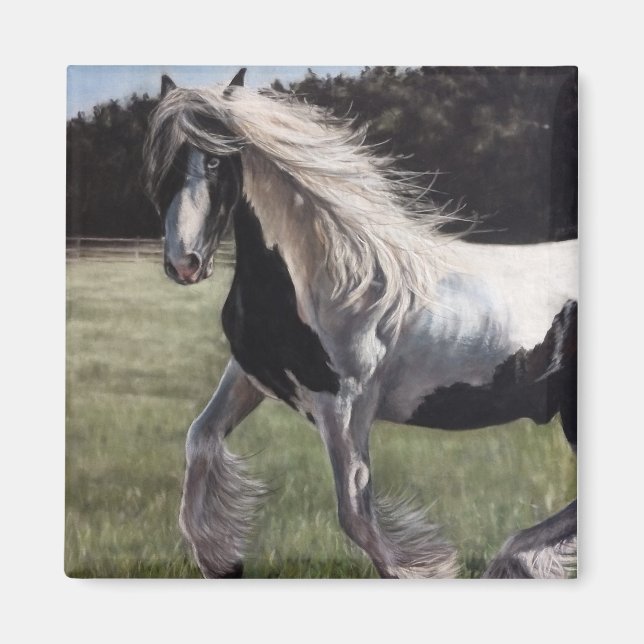 Gypsy vanner pinto horse running in field magnet (Front)