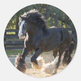 Gypsy Vanner stickers