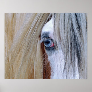 Gypsy Vision Poster/ Print