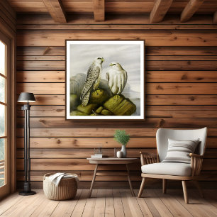 Gyr falcons on a rocky ledge, Bird Illustrations Poster