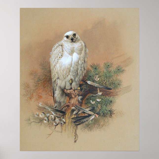 Gyrfalcon - 1861 poster (Front)