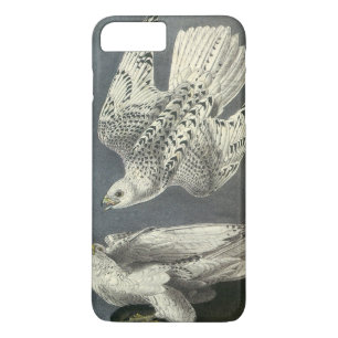 Gyrfalcon by Audubon Case-Mate iPhone Case