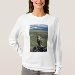 gyrfalcon, Falco rusticolus, juvenile T-Shirt