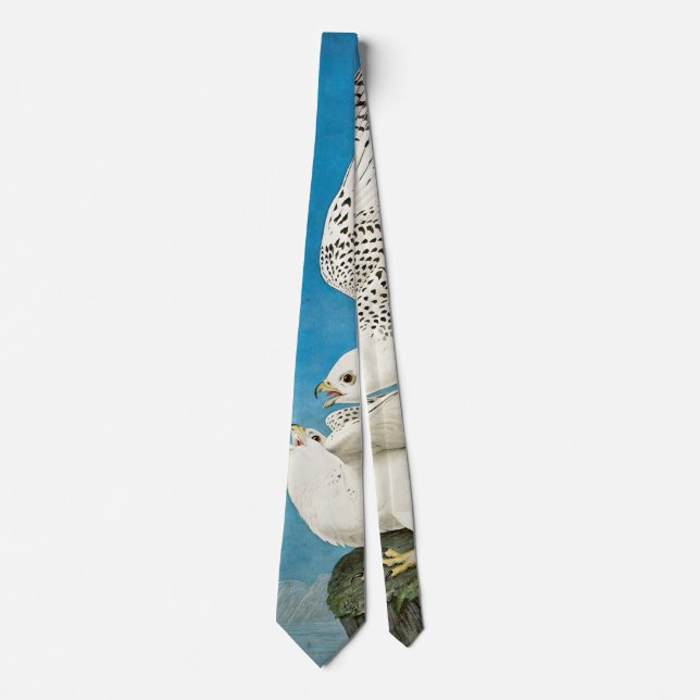 Gyrfalcons, aka Gerfalcons by John James Audubon Tie (Front)