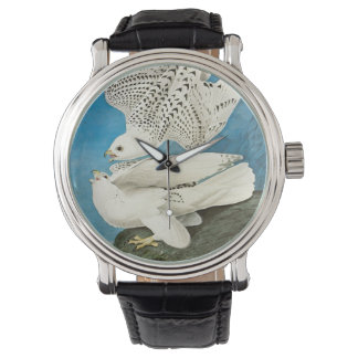 Gyrfalcons, aka Gerfalcons by John James Audubon Watch