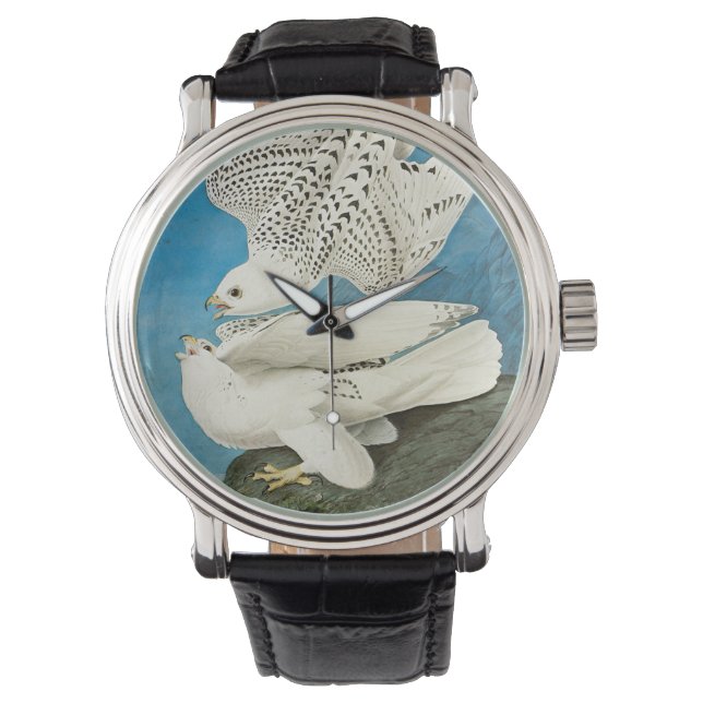 Gyrfalcons, aka Gerfalcons by John James Audubon Watch (Front)
