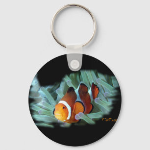 H2Oasis Clownfish Key Ring
