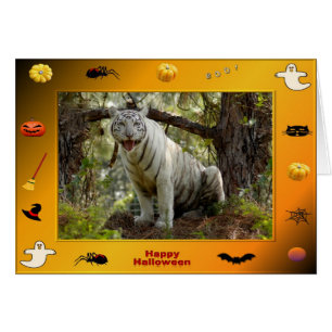 h-218-zabu
