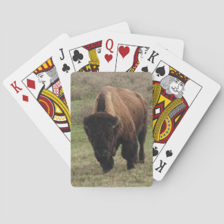 H.A.S. Arts Bison Playing Cards