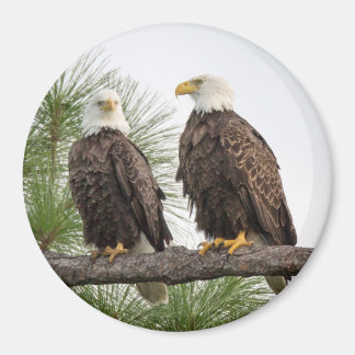 H&O Circle Magnet (Various Sizes Available)