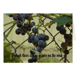 Habakkuk 3;17,18, Grapes