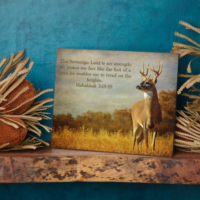 Habakkuk 3:18 Inspirational Plaque (Side)