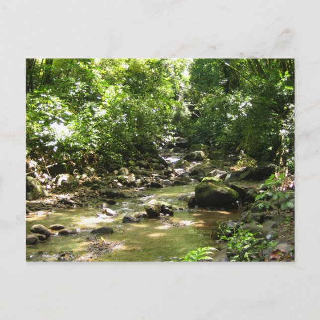 Habitation Céron 2 - Martinique, F.W.I. Postcard (Front)