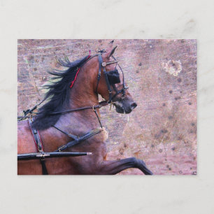 Hackney Grunge Postcard