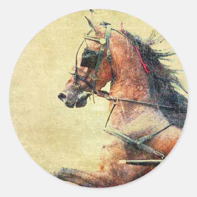 Hackney Pony Classic Round Sticker (Front)