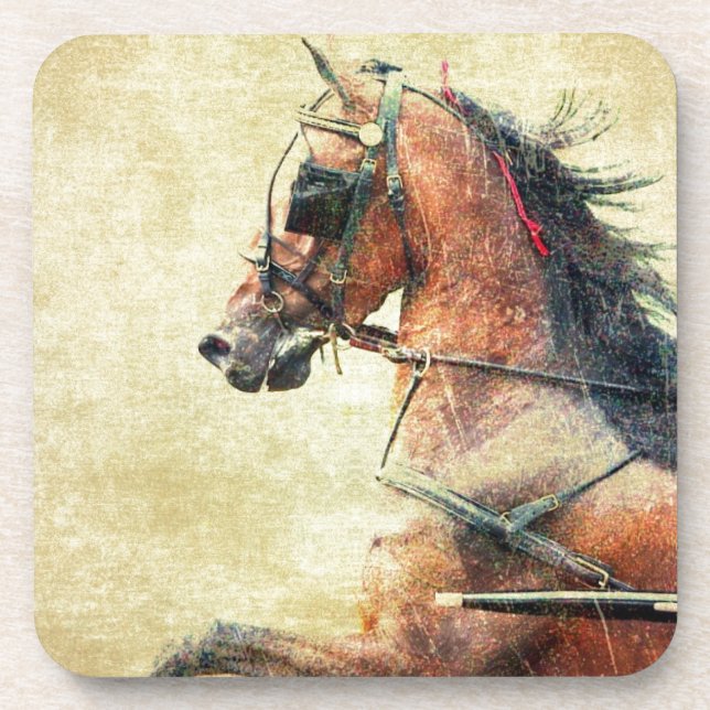 Hackney Pony Coaster (Front)
