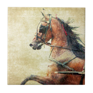 Hackney Pony Tile