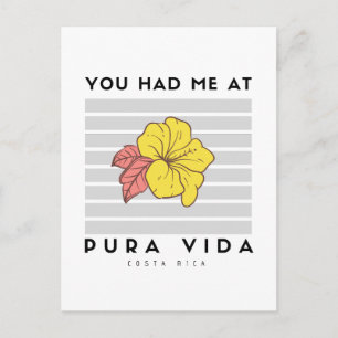 Had Me at Pura Vida Costa Rica Hibiscus Postcard