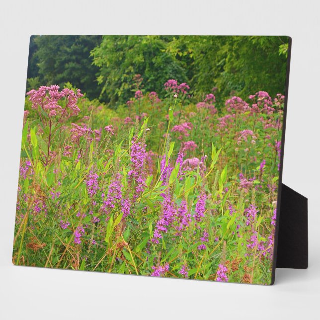 Haddam Meadows Wildflowers Plaque (Side)