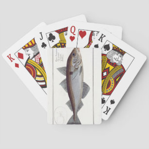 Haddock (Gadus Aeglefinus) plate LXII from 'Ichthy Playing Cards