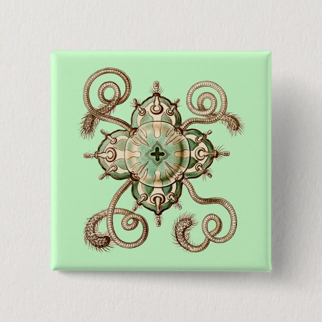 Haeckel 15 Cm Square Badge (Front)