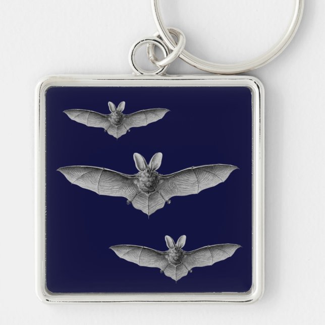Haeckel Bat Key Ring (Front)