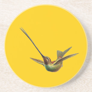 Haeckel Bird Coaster