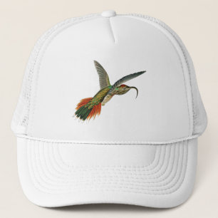 Haeckel Bird Trucker Hat