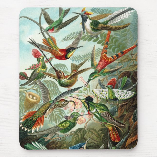 Haeckel Birds Mouse Pad (Front)