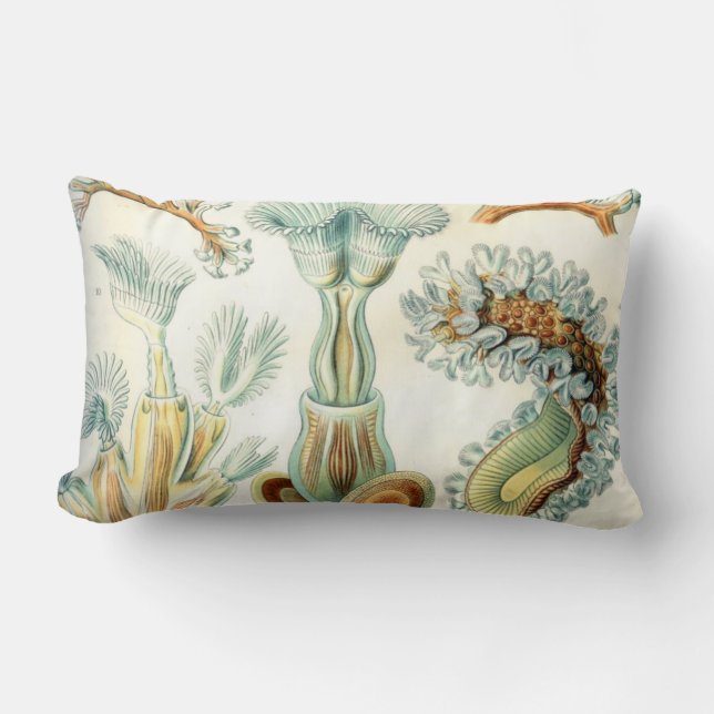 Haeckel Bryozoa Lumbar Cushion (Front)