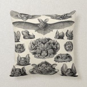 Haeckel Chiroptera Cushion