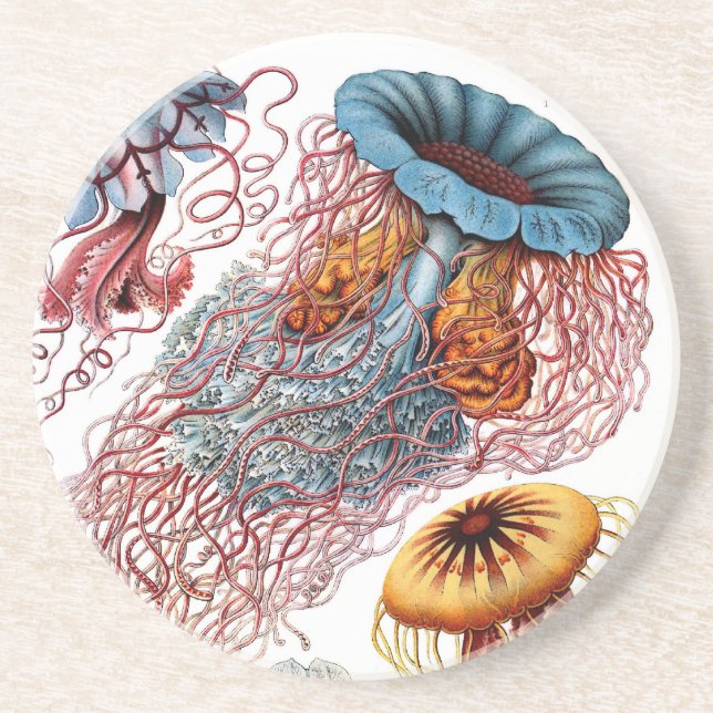 Haeckel Coaster (Front)