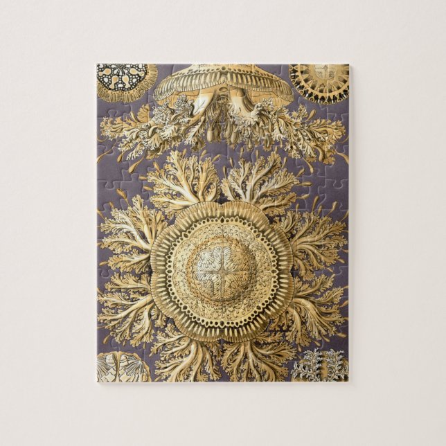 Haeckel Discomedusae Jigsaw Puzzle (Vertical)